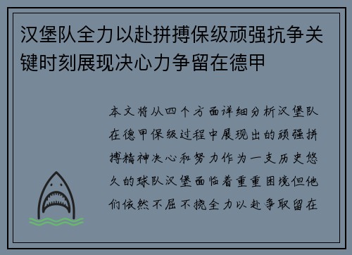 汉堡队全力以赴拼搏保级顽强抗争关键时刻展现决心力争留在德甲